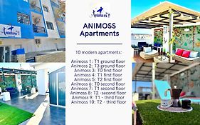 Animos! Apartments - 10 Modern Apartments Near The City & Beach, Perfect For Nomads, Travellers, Families, Watersports!